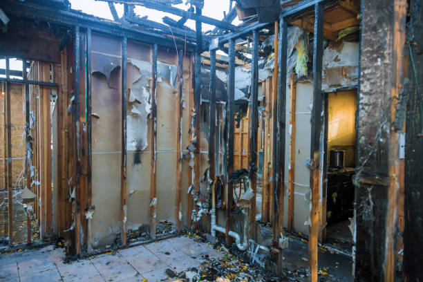 Professional Fire Damage Cleanup technician working in Woodbine, MD